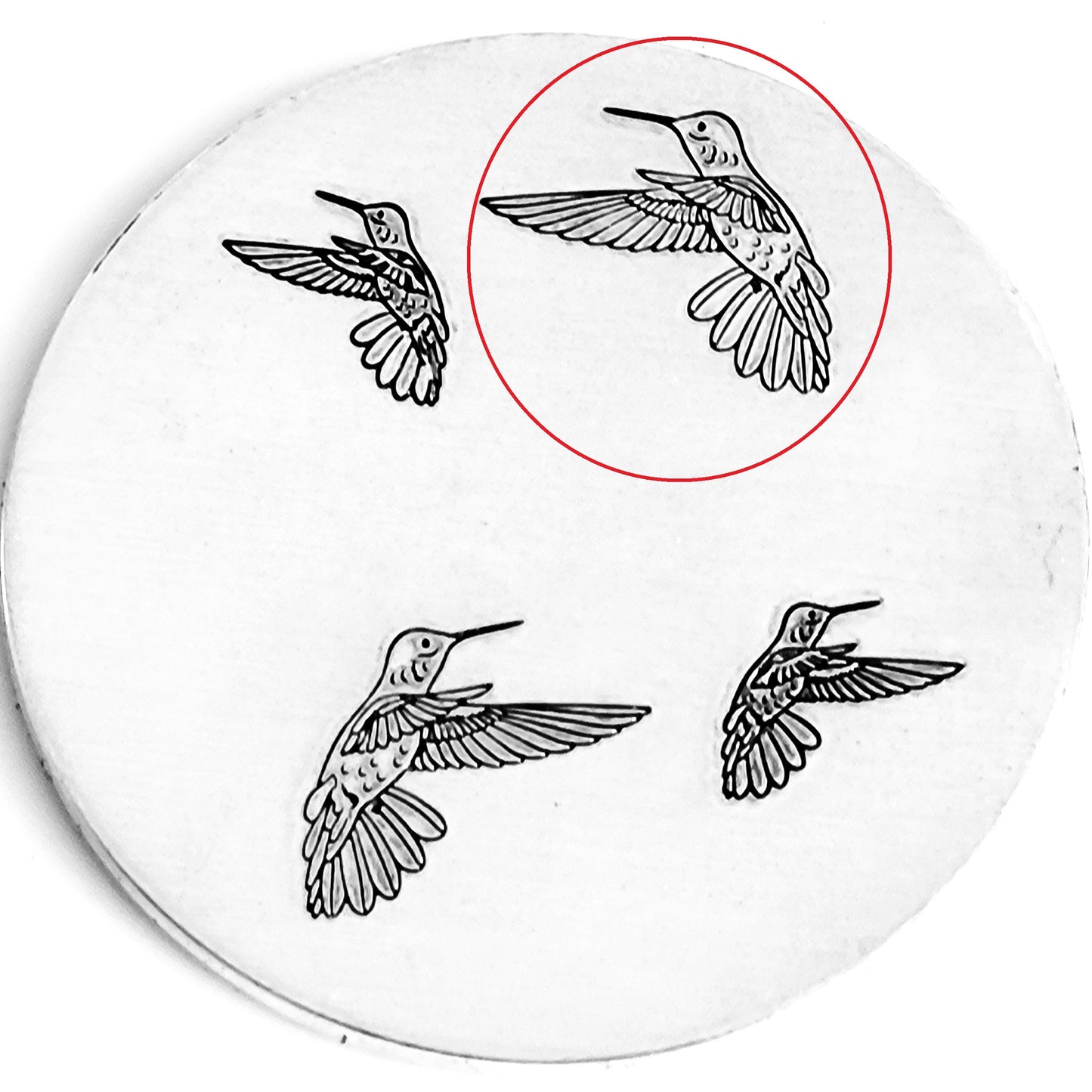 Hummingbirds