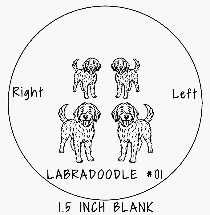 Labradoodle #01