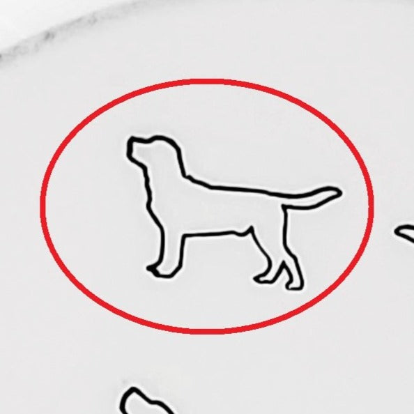 Labrador #01