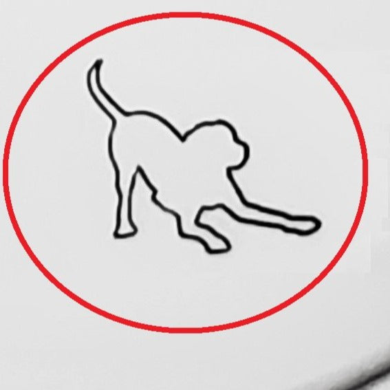 Labrador #03
