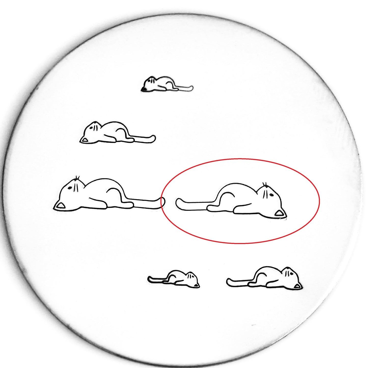 Lazy Cat #02
