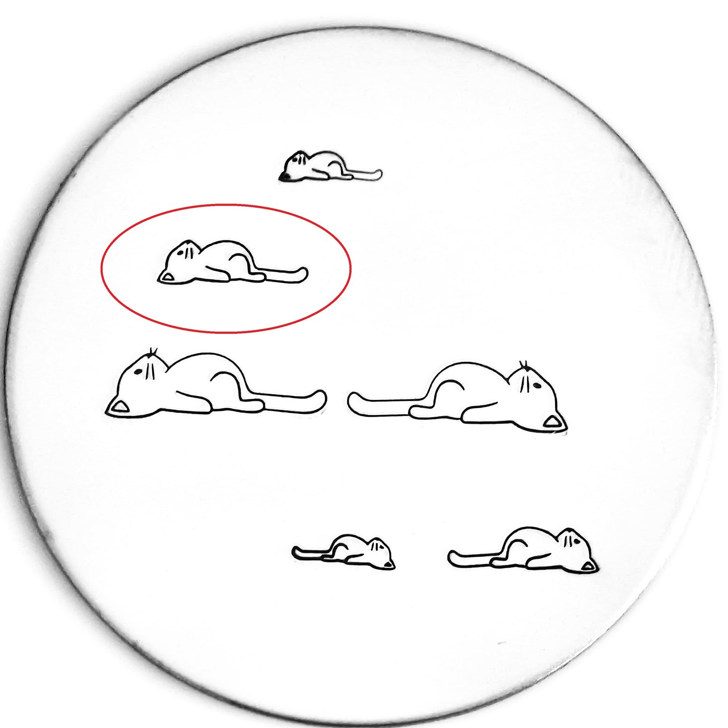 Lazy Cat #02