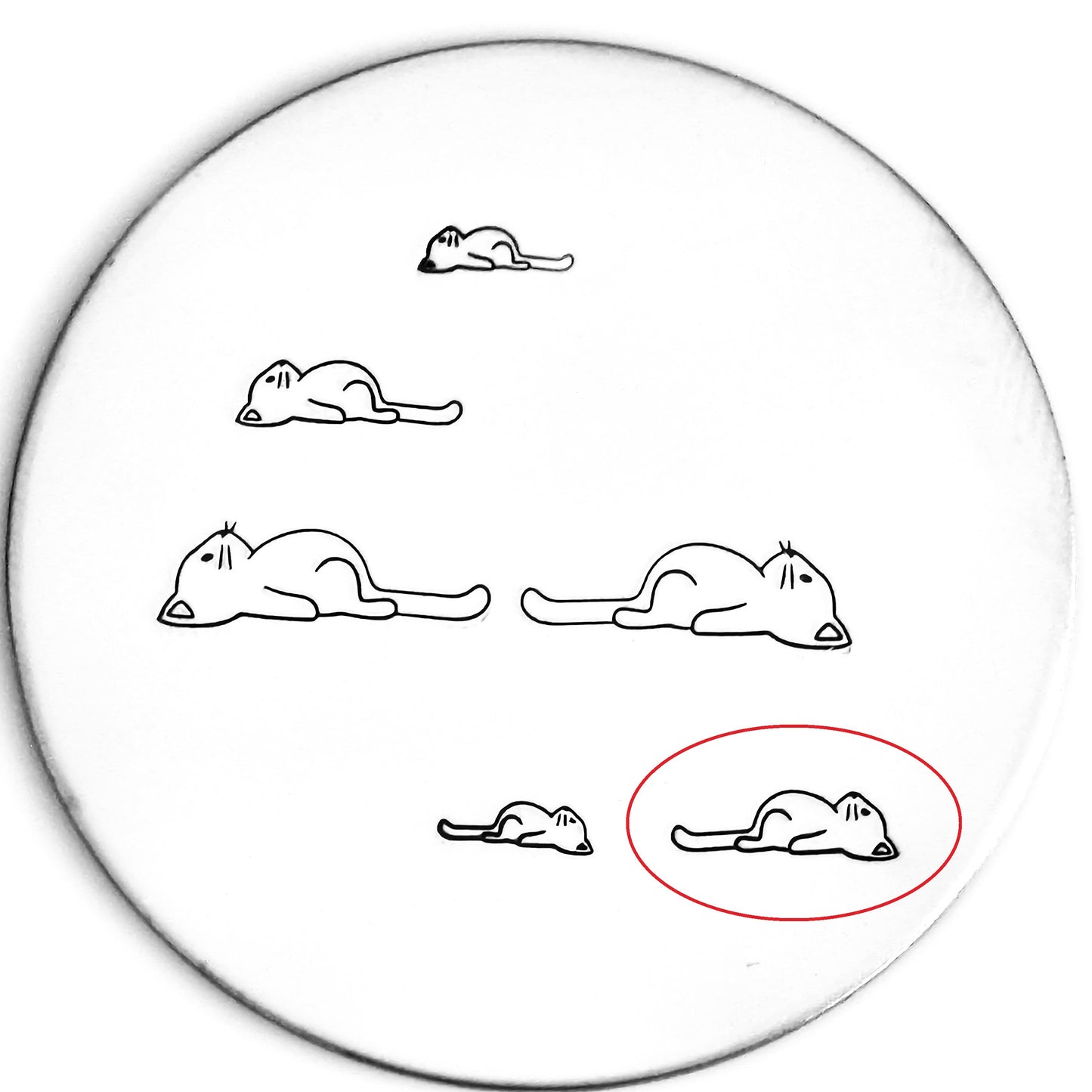 Lazy Cat #02