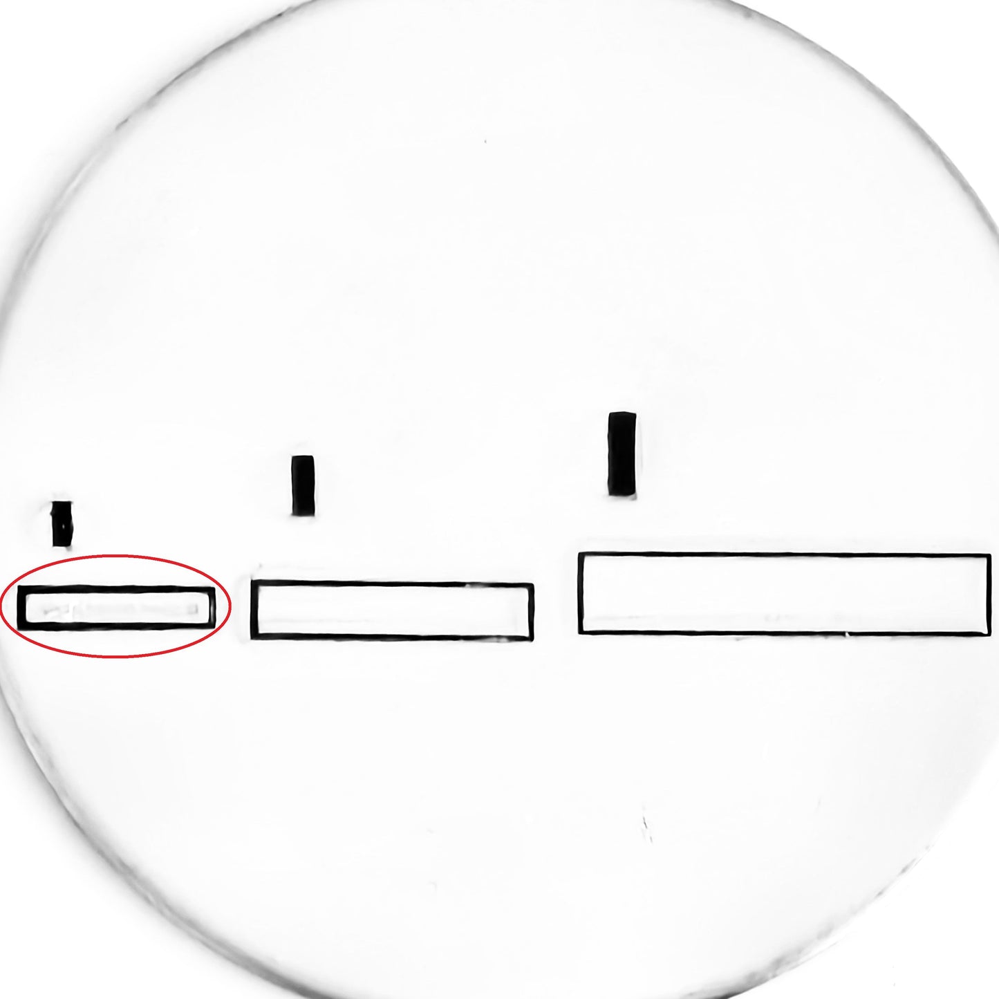 Loading Bar - OVERSTOCK