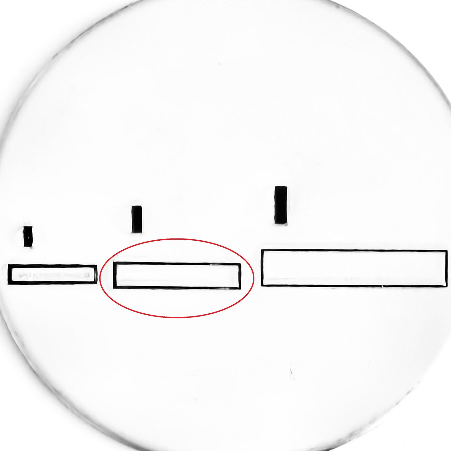 Loading Bar - OVERSTOCK