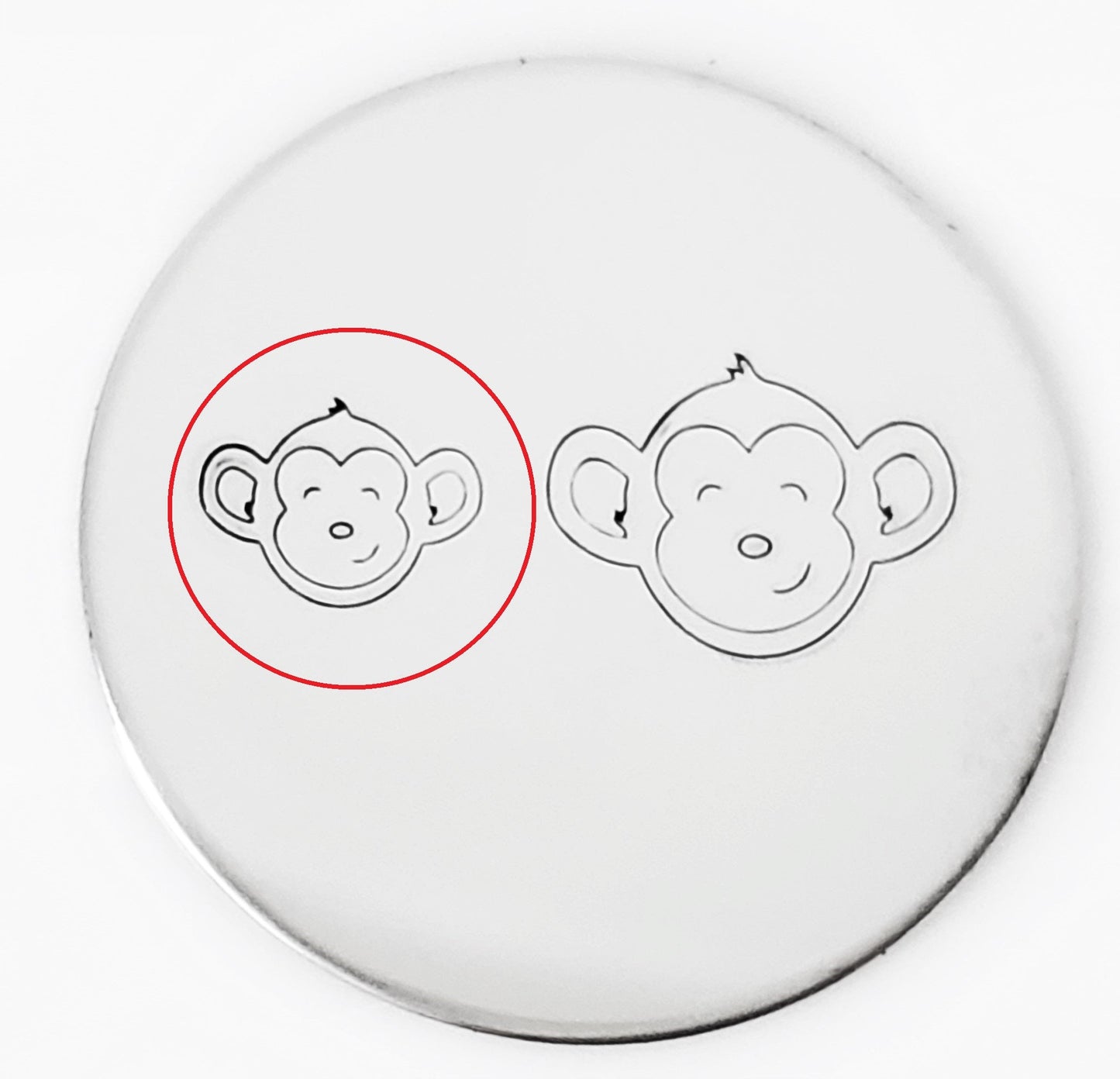 Baby Monkey Face