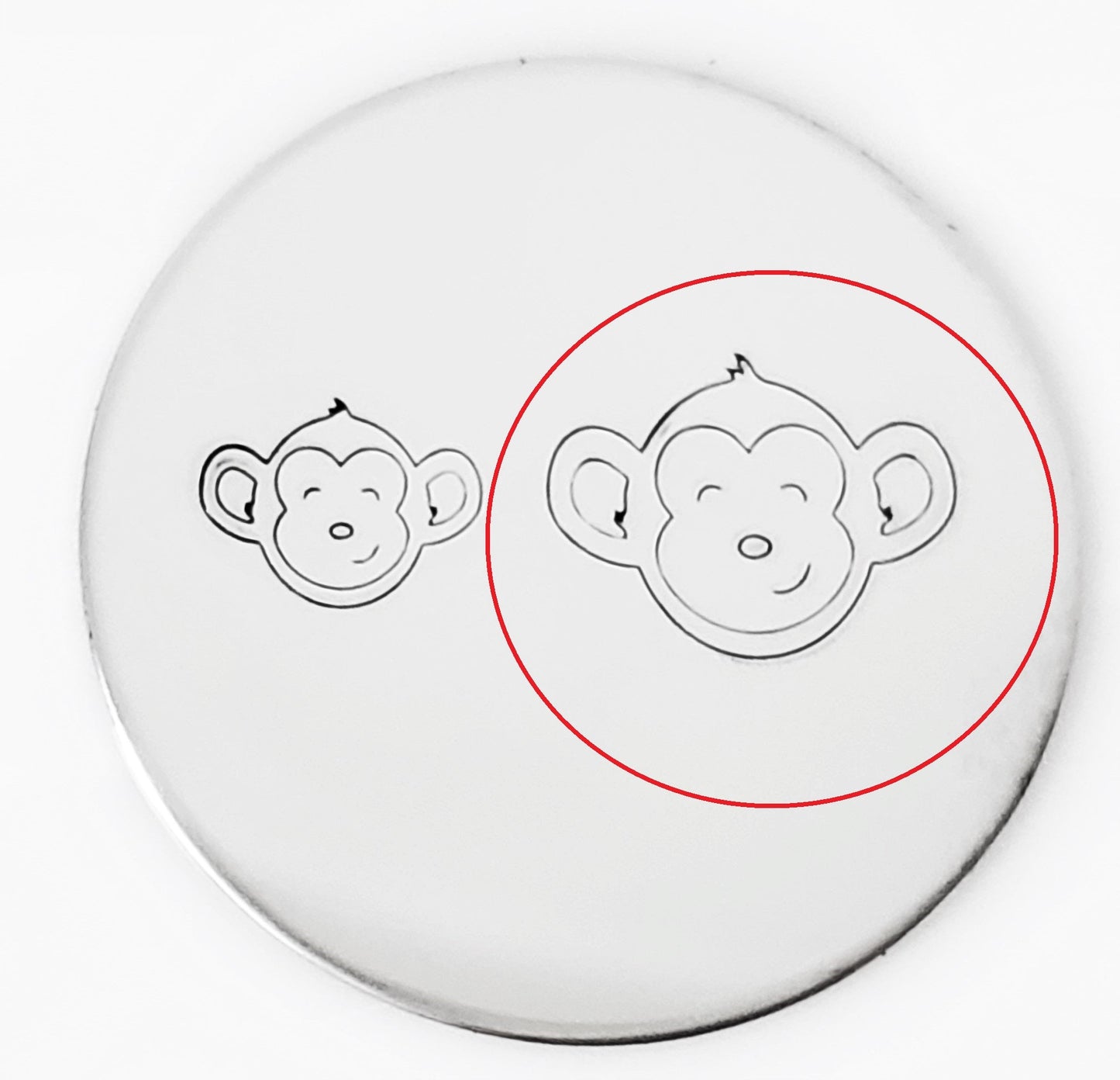 Baby Monkey Face