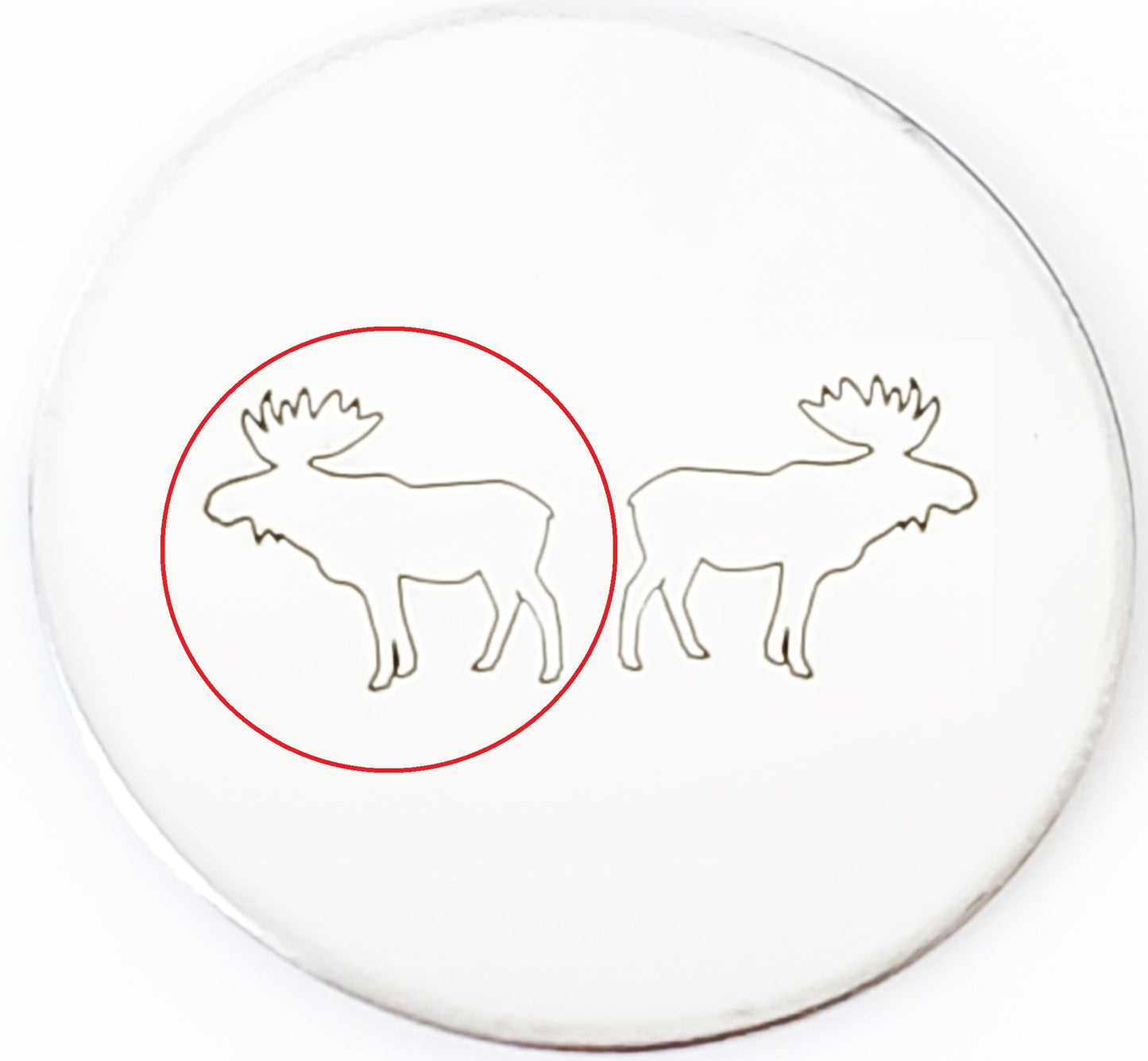 Moose