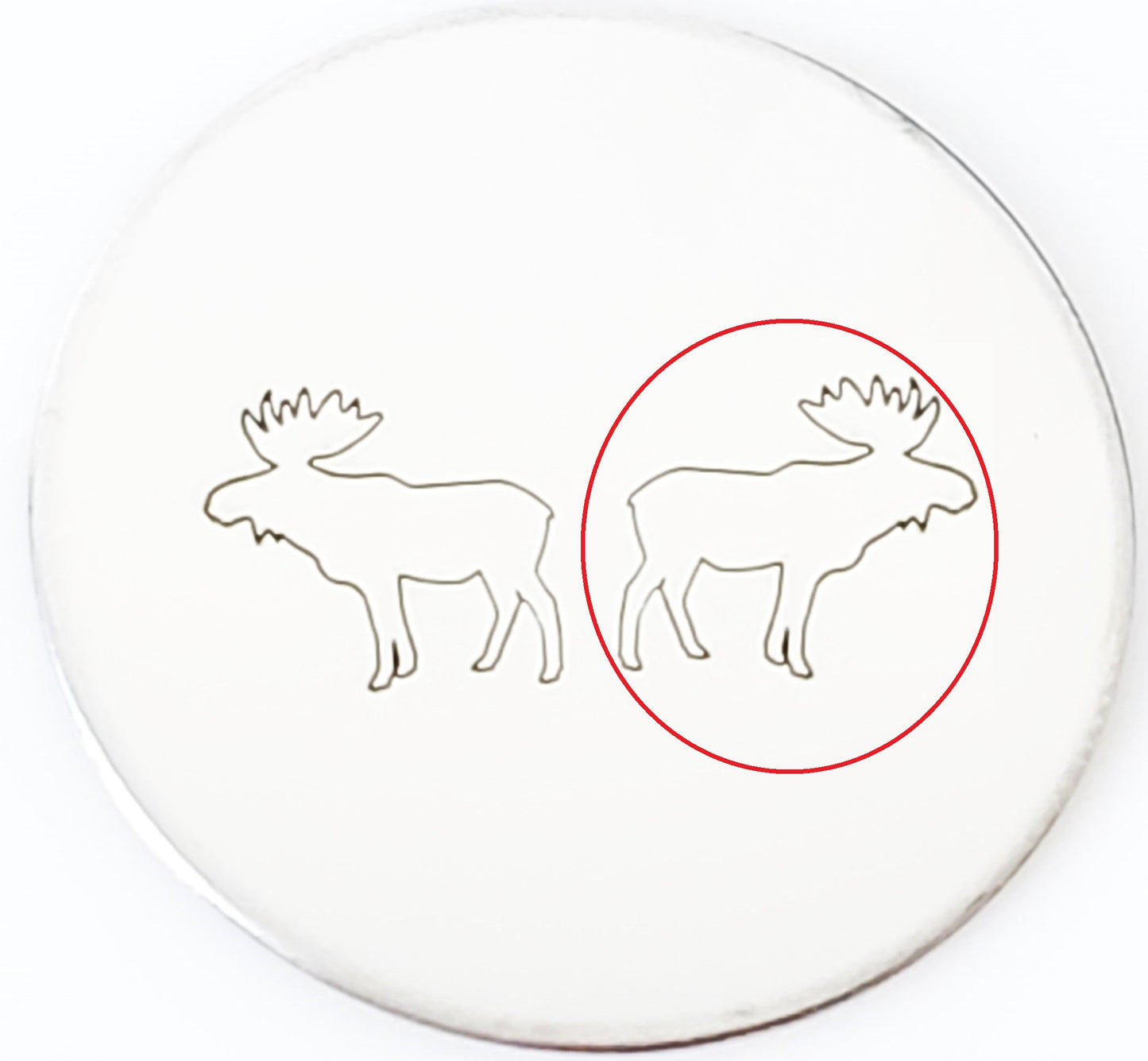 Moose