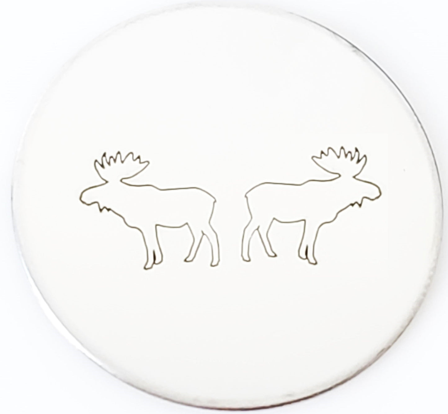 Moose