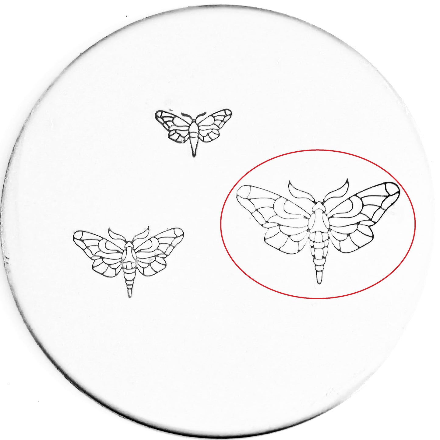 Moth #01