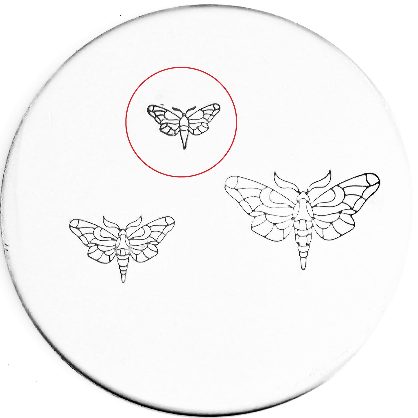 Moth #01