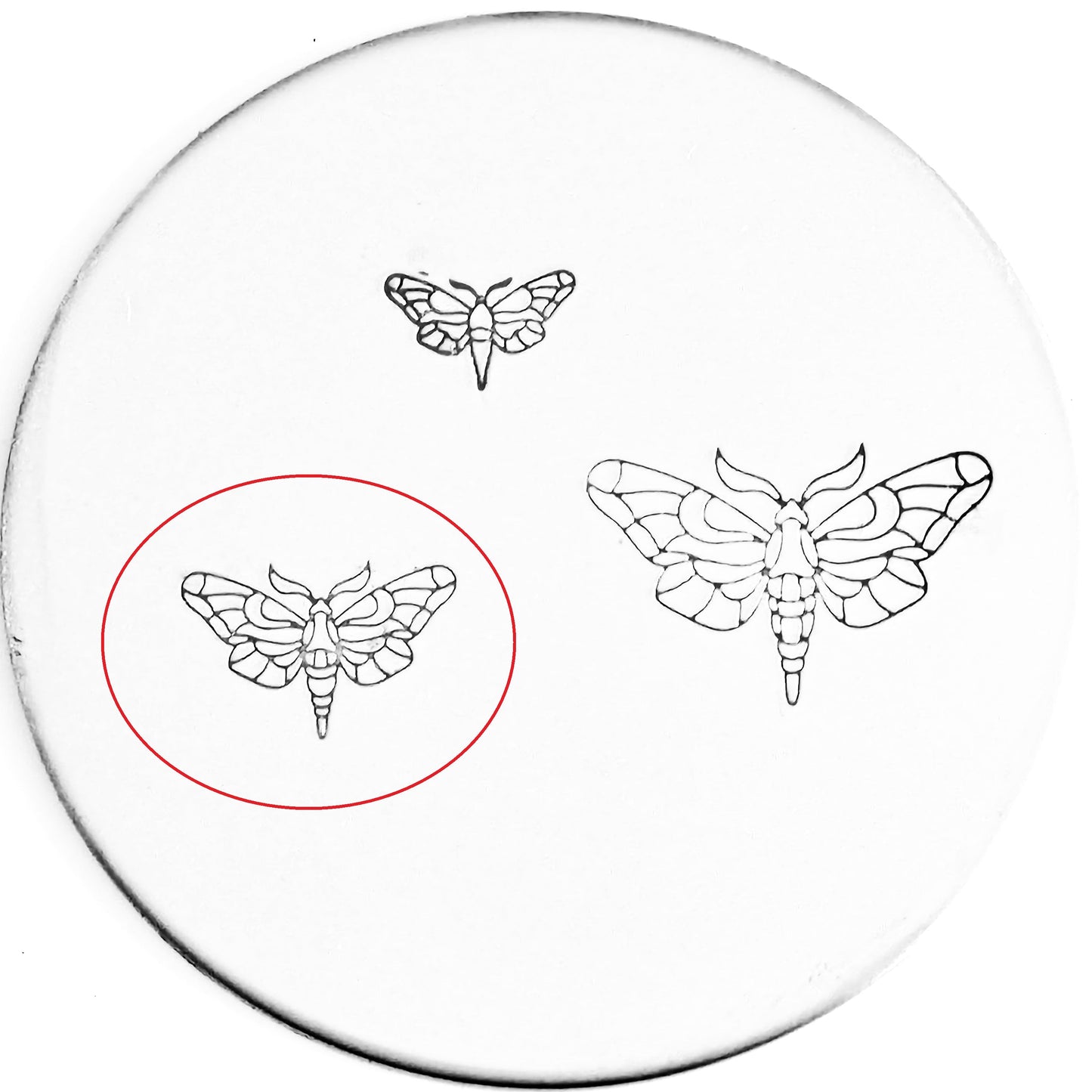 Moth #01