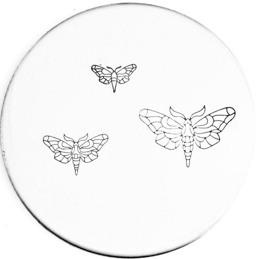 Moth #01
