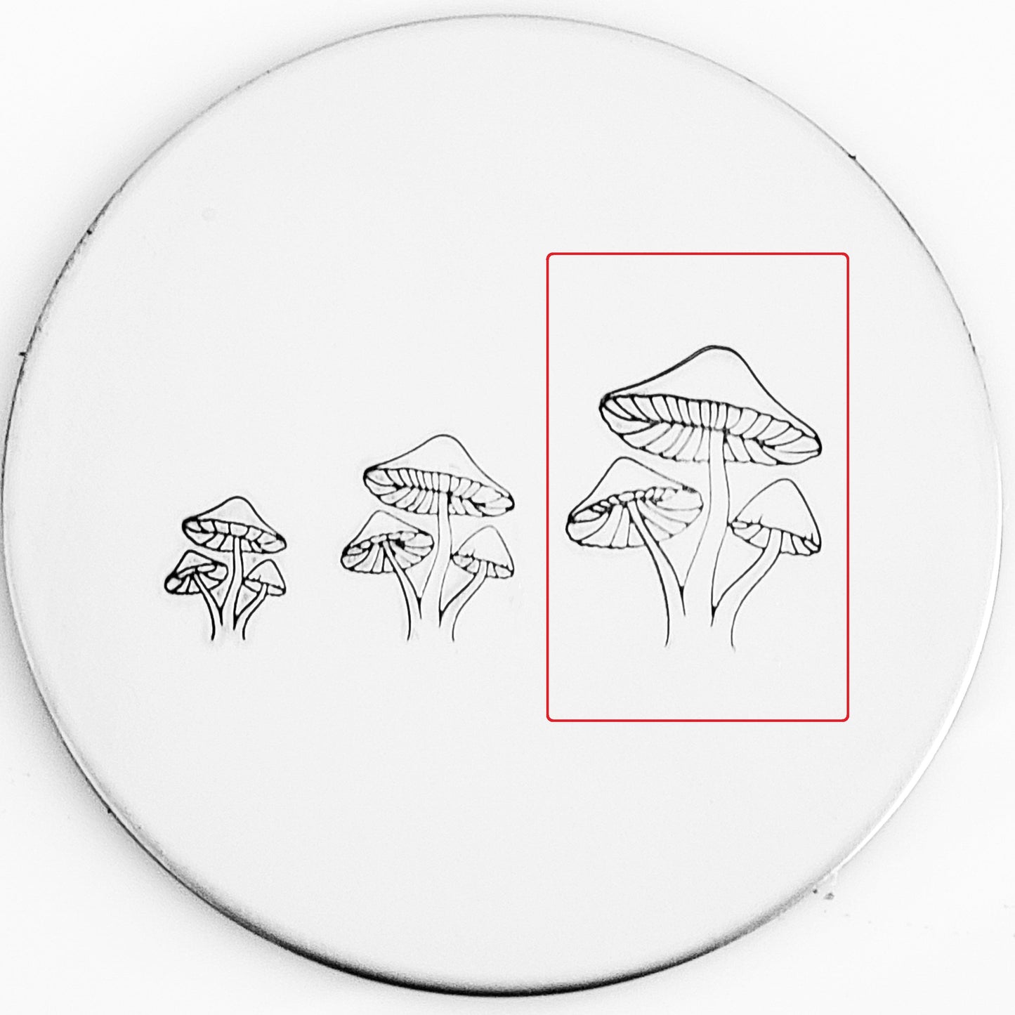 Mushroom #06
