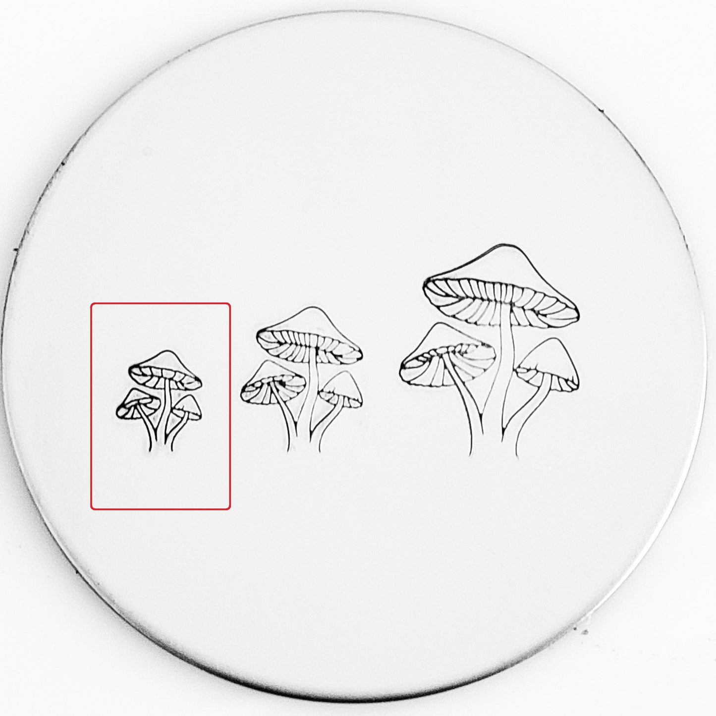 Mushroom #06