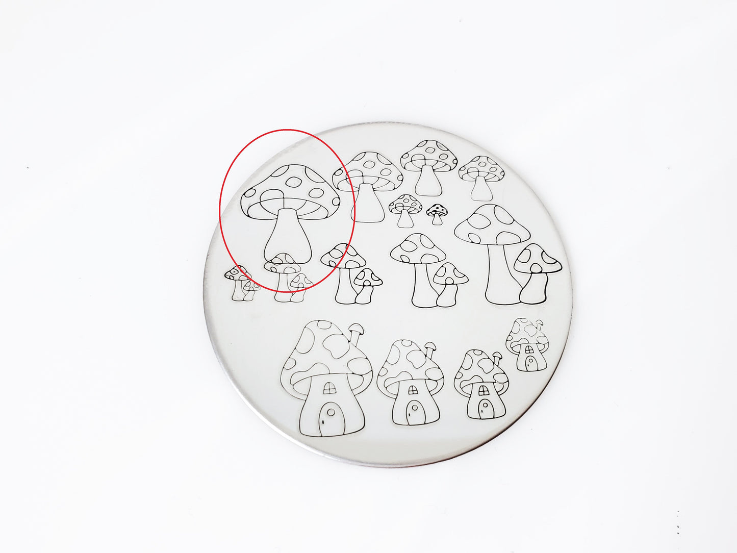 Mushroom Toadstools