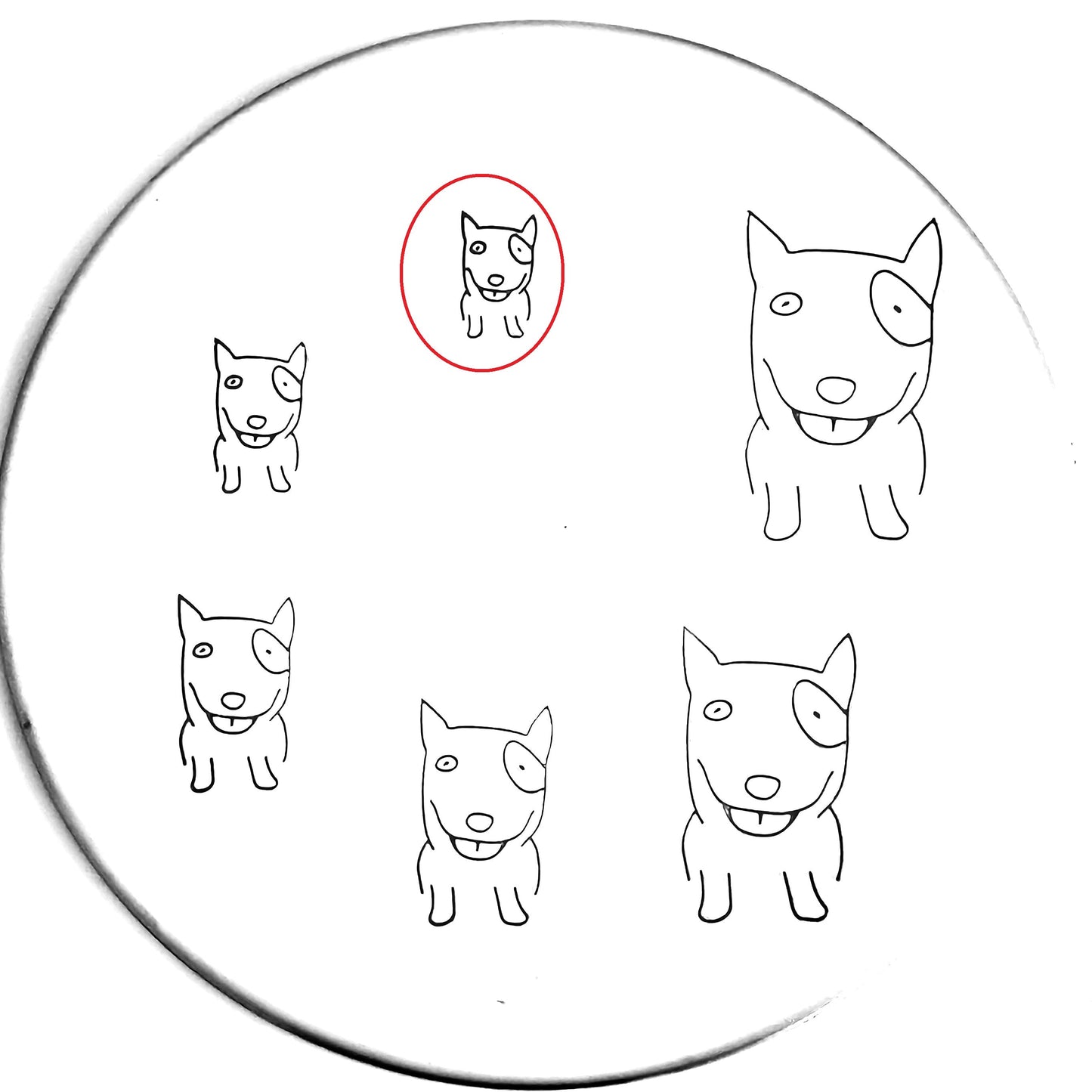 Pocket Dog #05