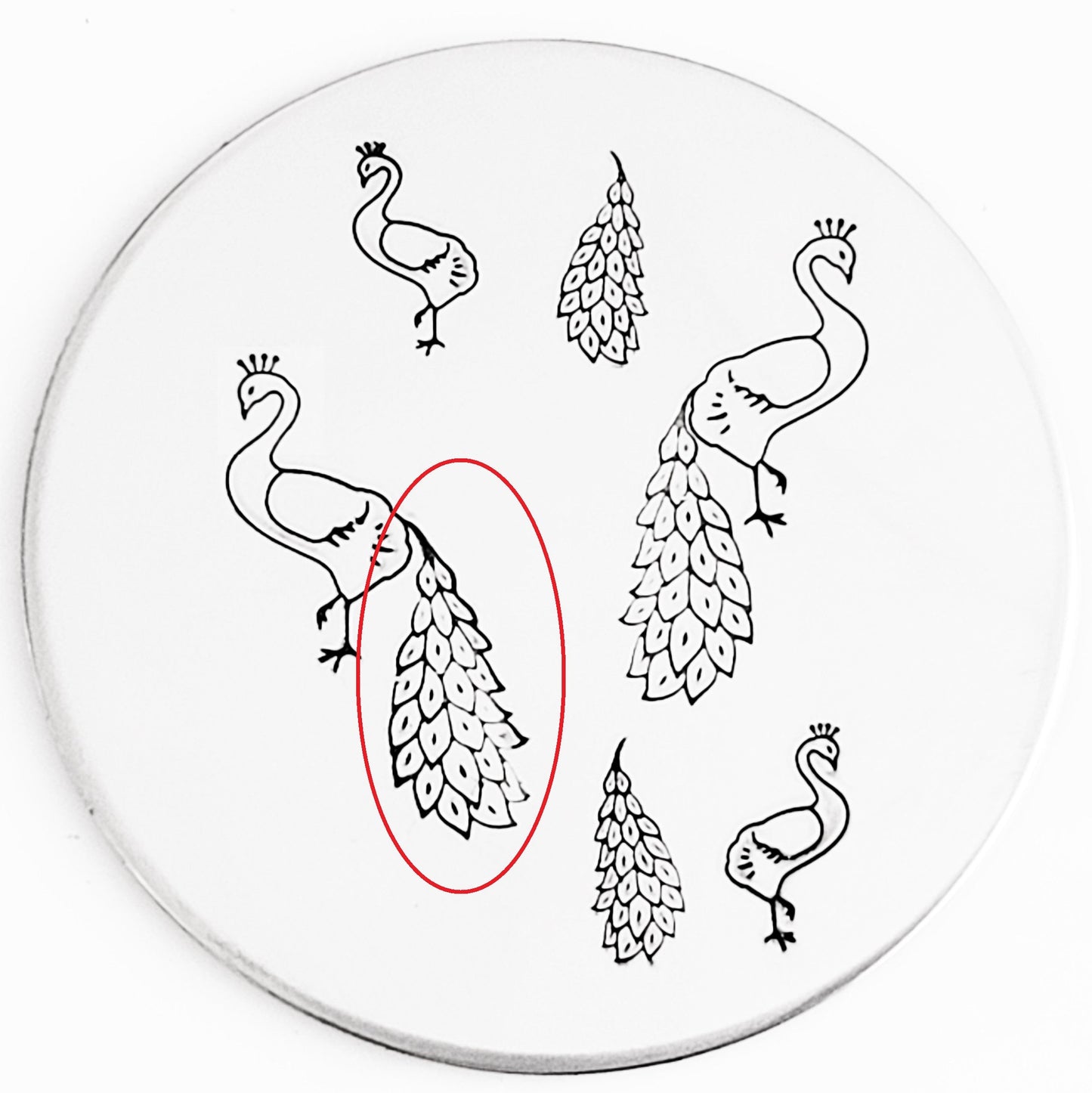 Peacock