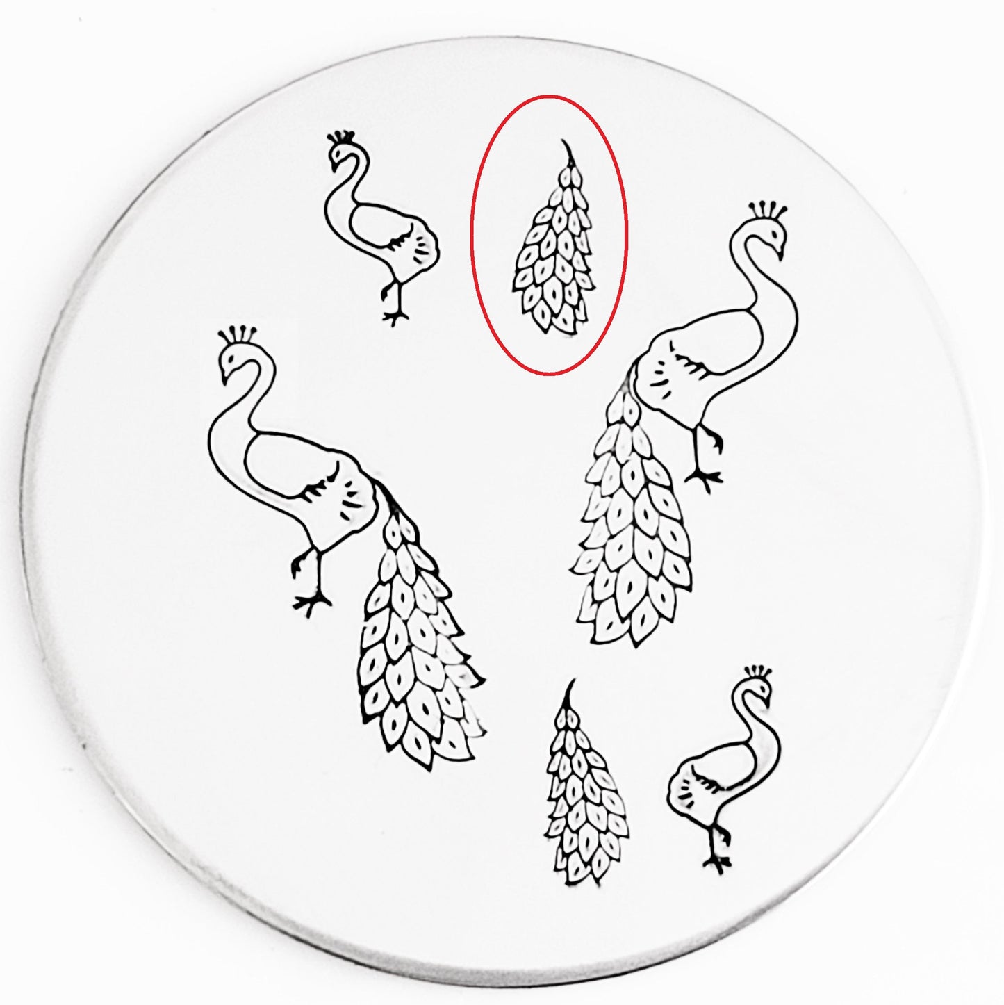 Peacock