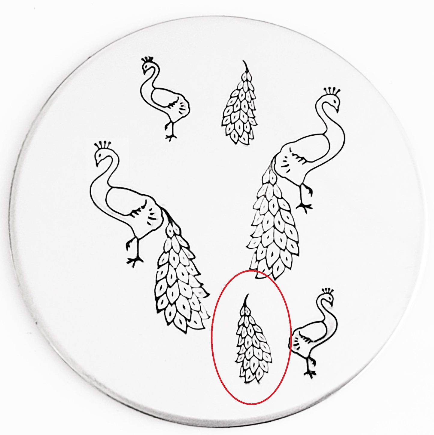 Peacock