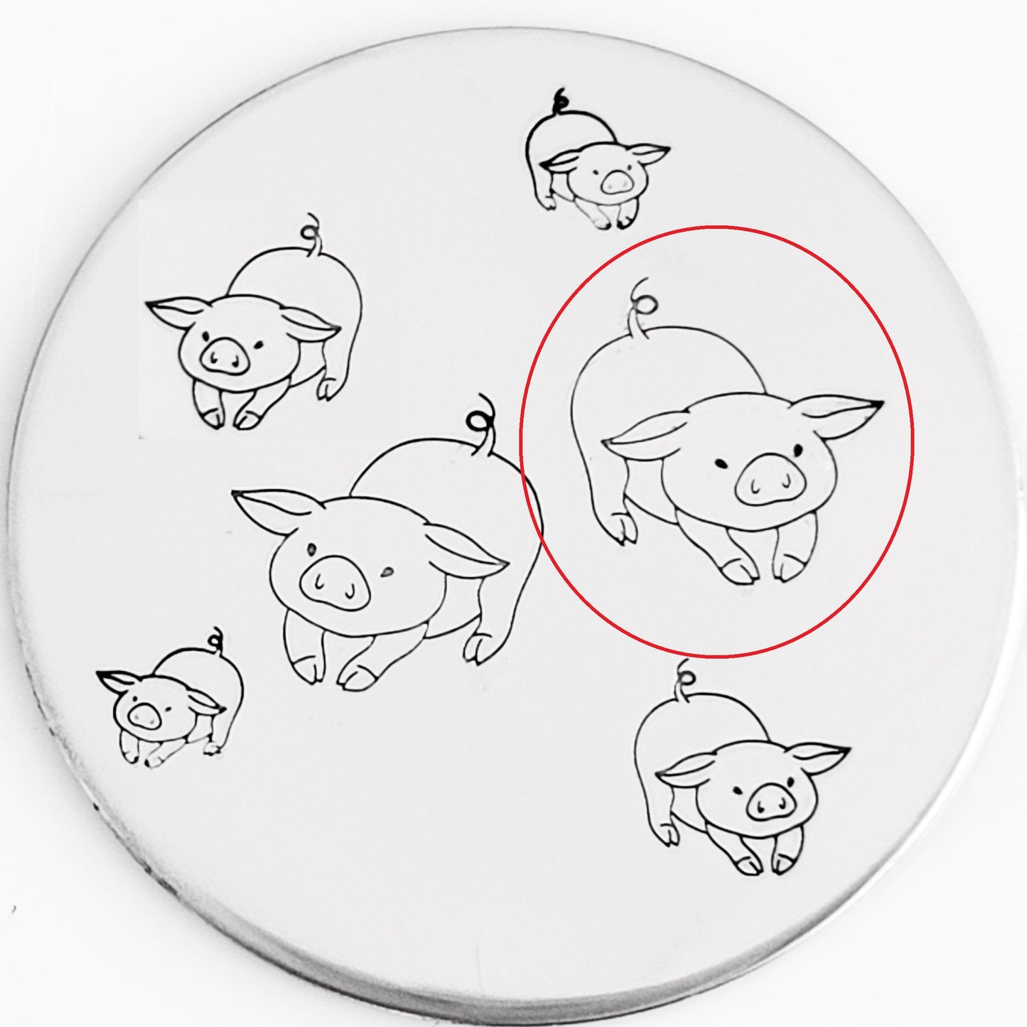 Pigs
