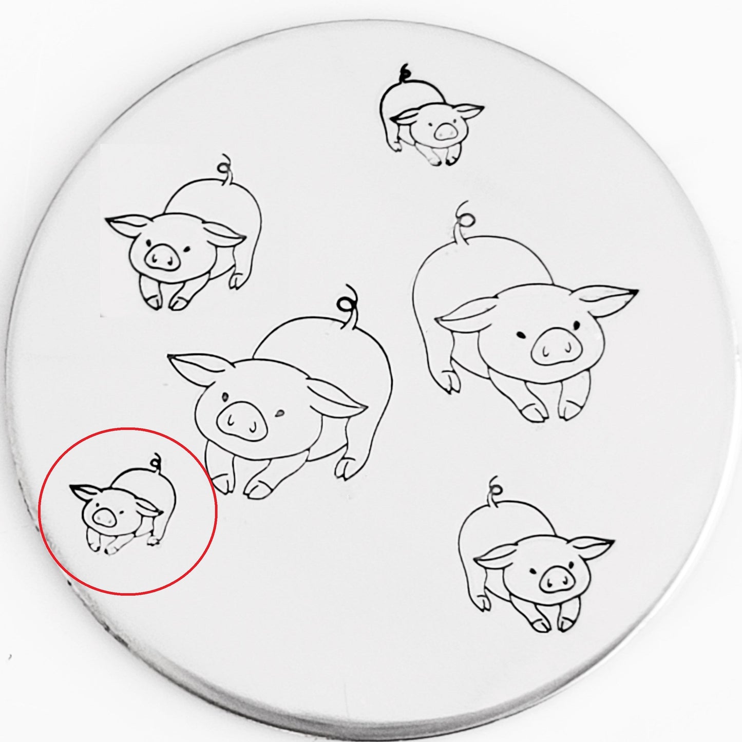 Pigs