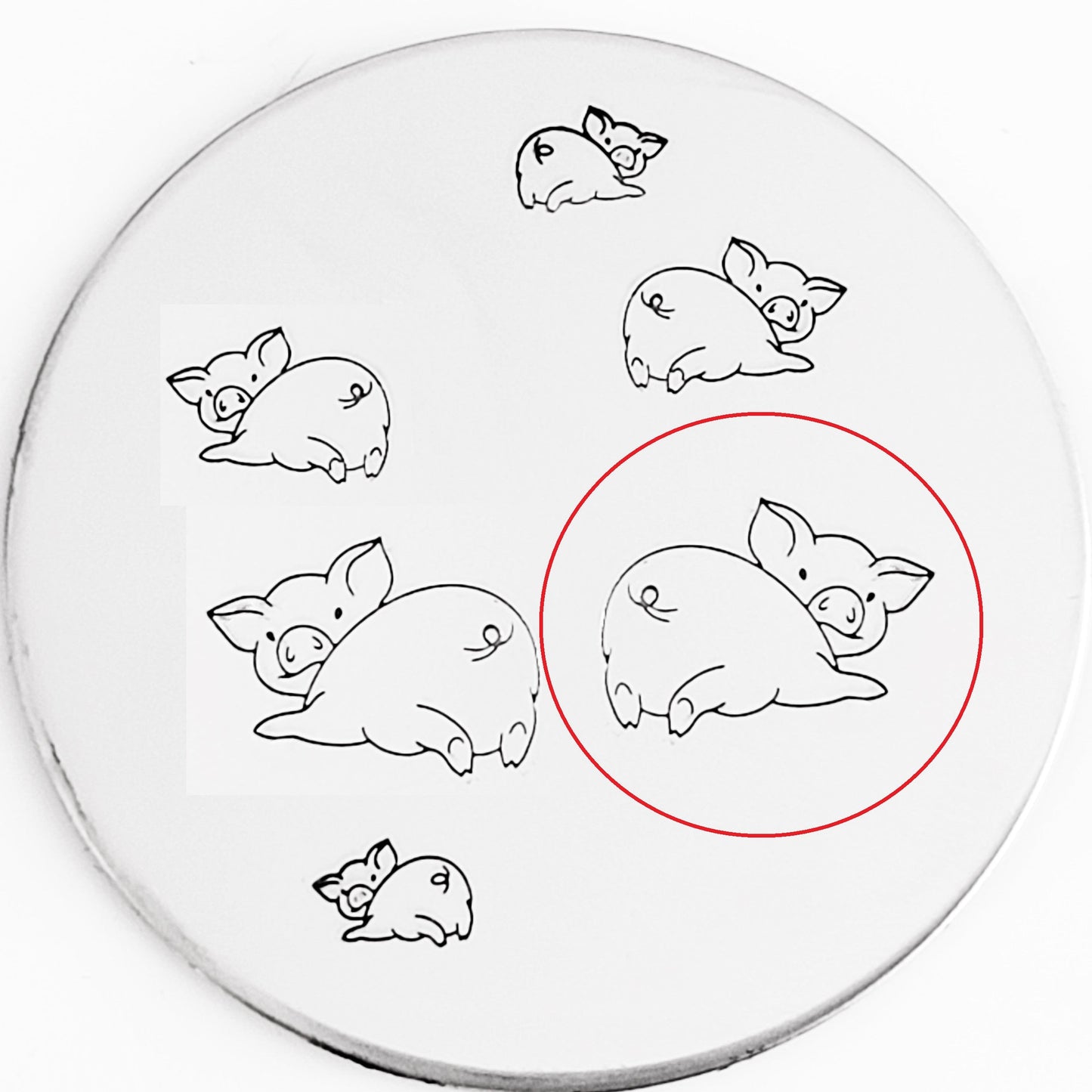 Pigs