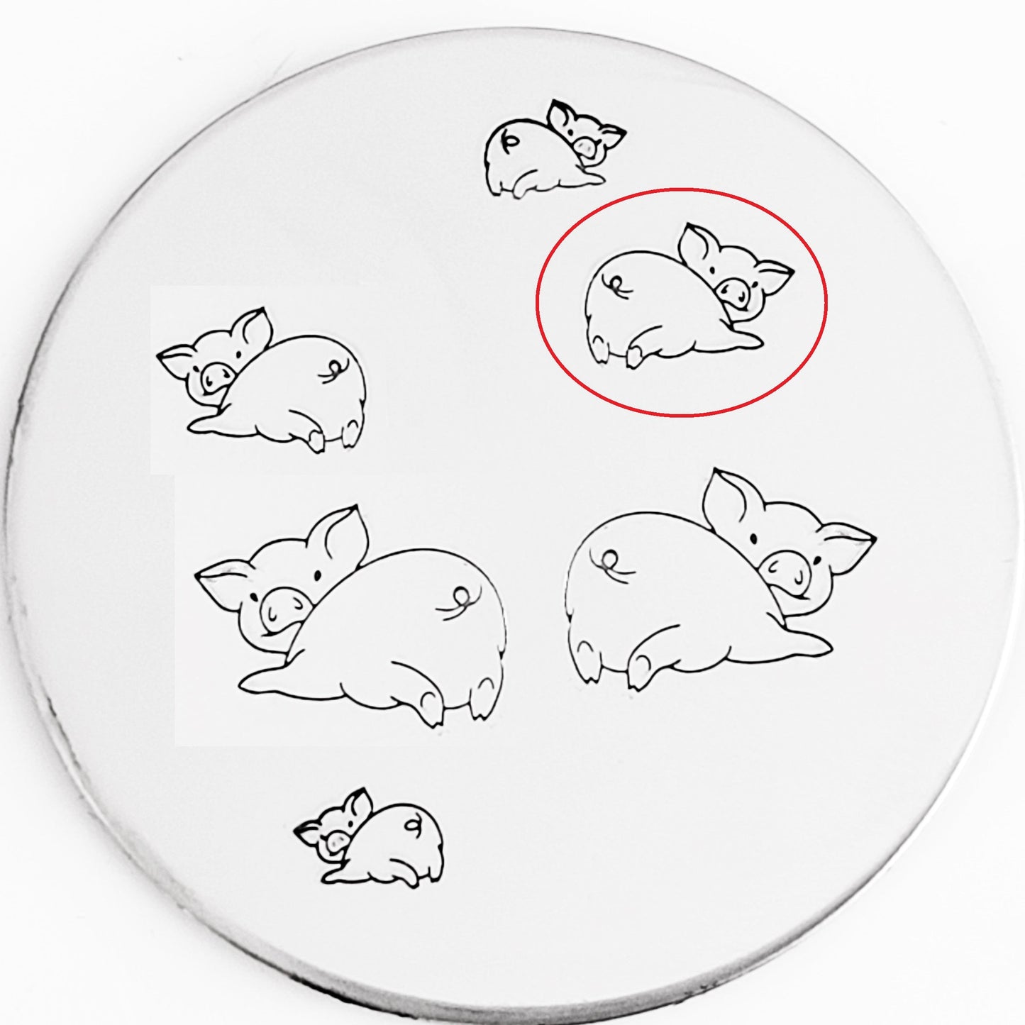 Pigs