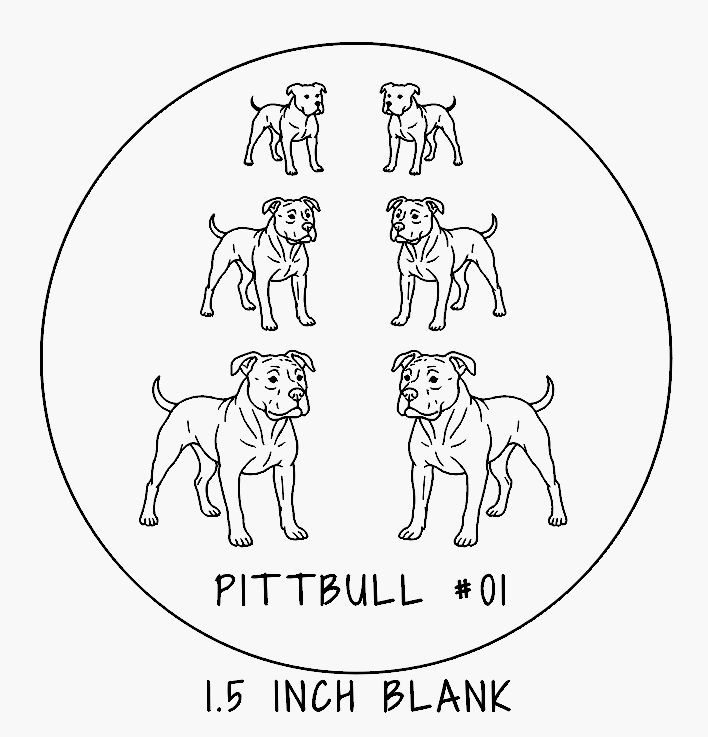 Pitbull #01