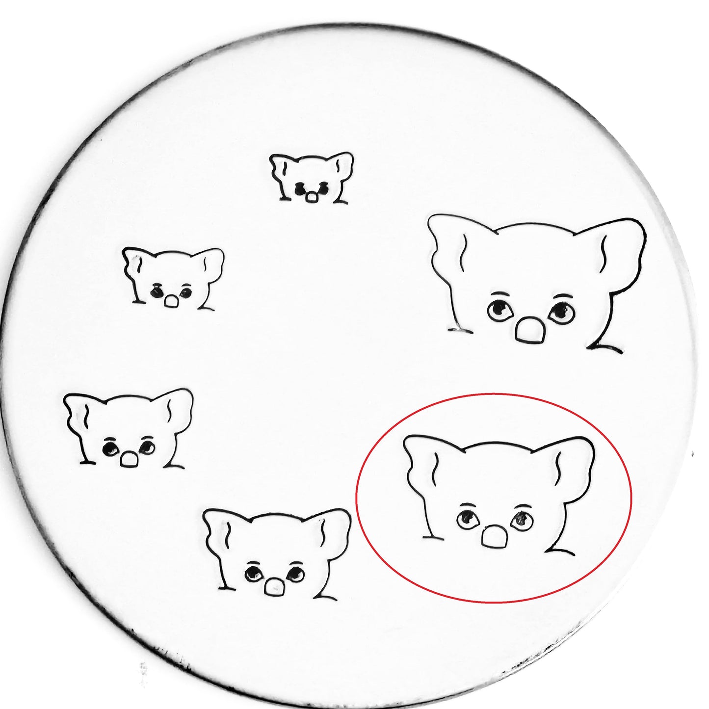 Pocket Koala - Overstock
