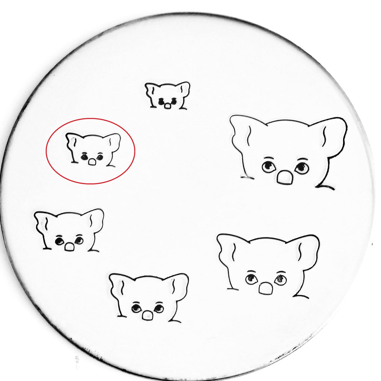 Pocket Koala - Overstock