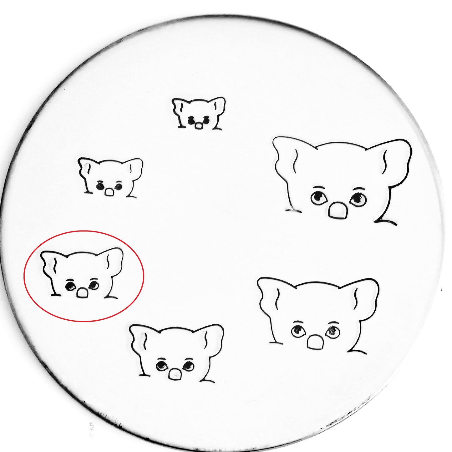 Pocket Koala - Overstock