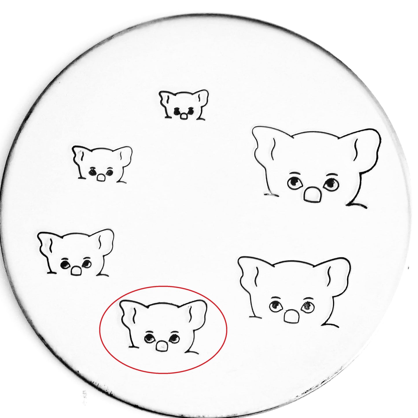 Pocket Koala - Overstock