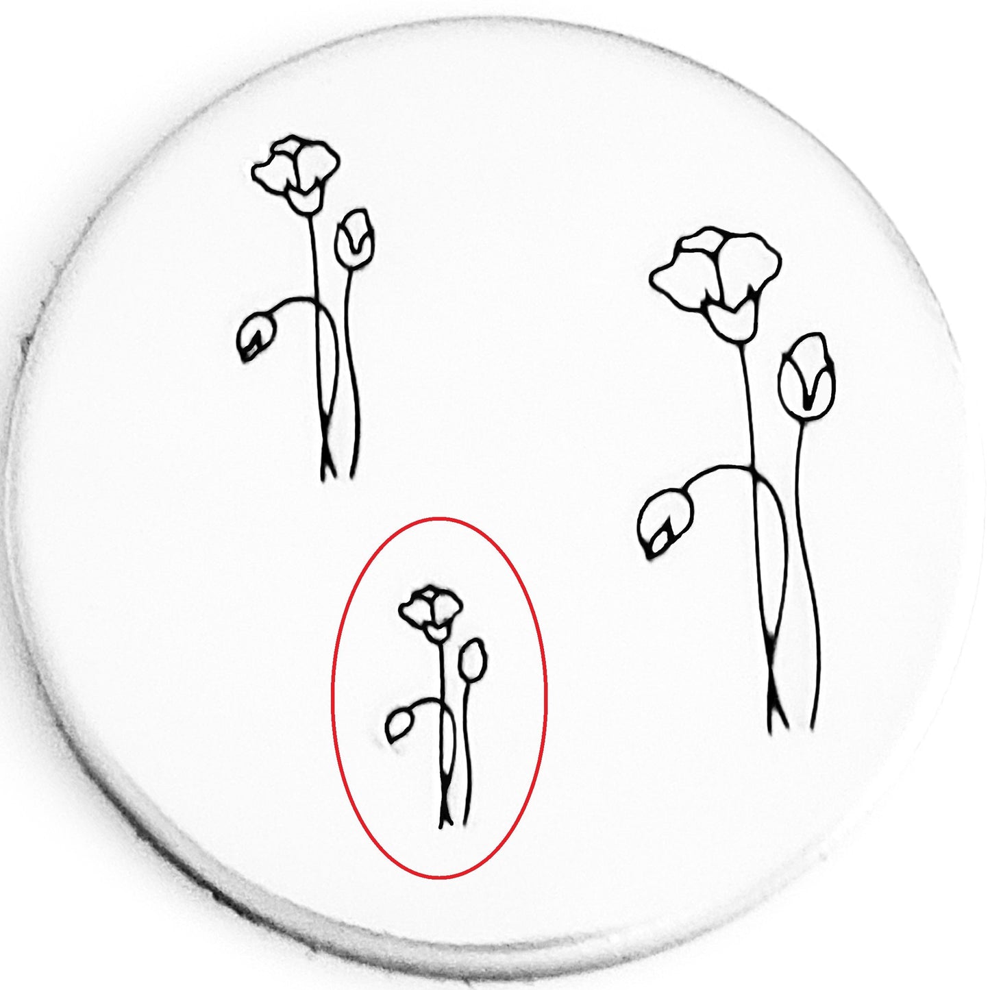 Plants (Style #04)