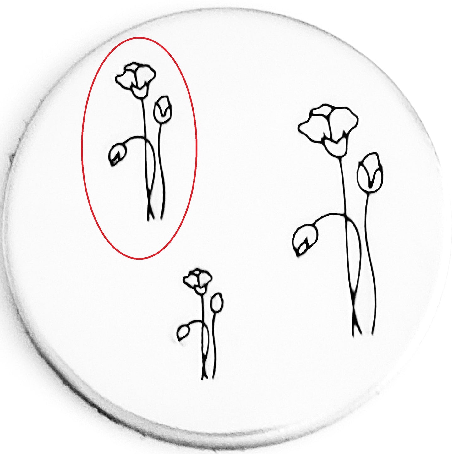 Plants (Style #04)