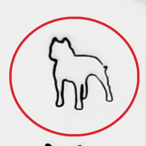 Pitbull #01