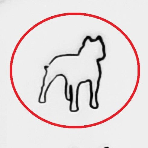 Pitbull #01