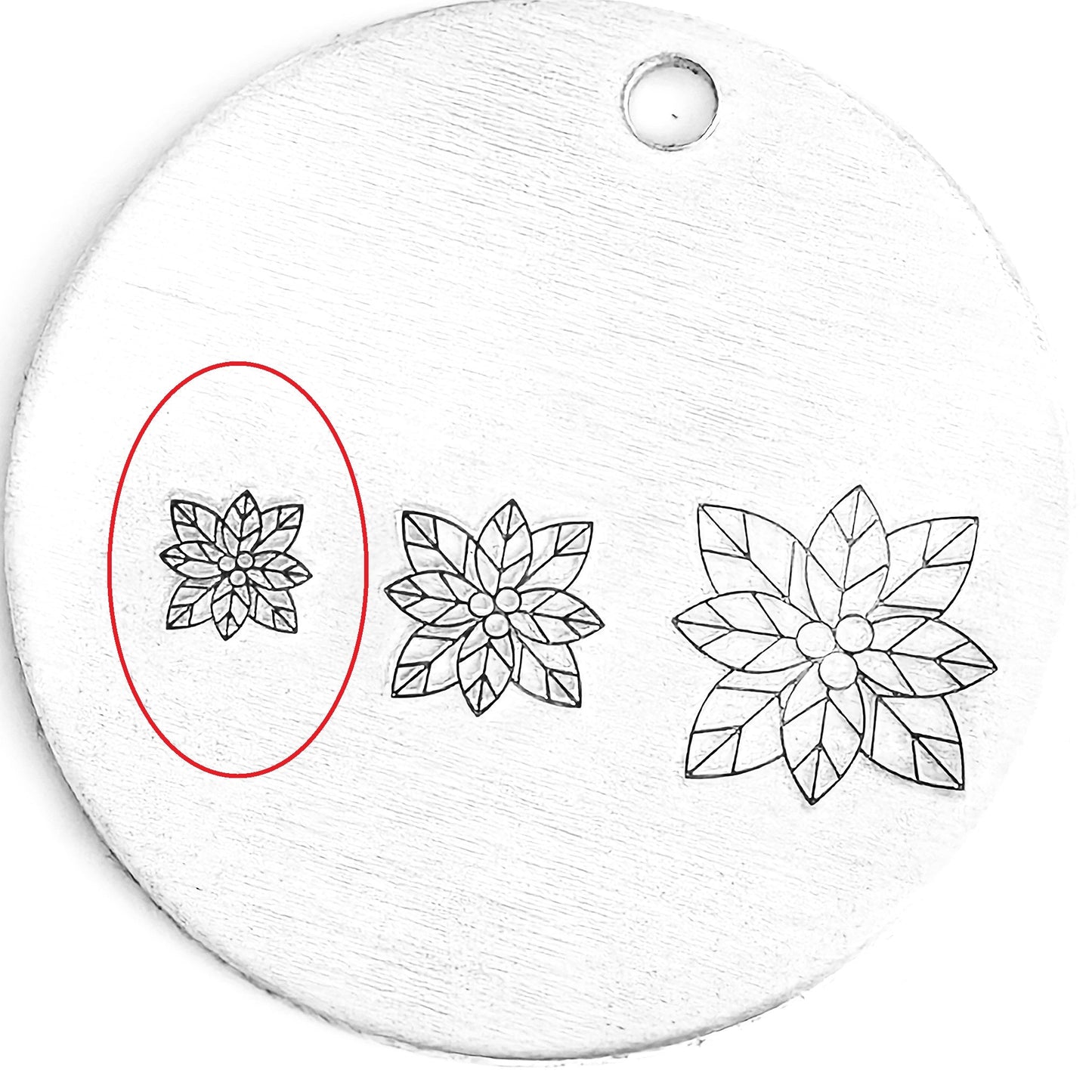 Poinsettia #01