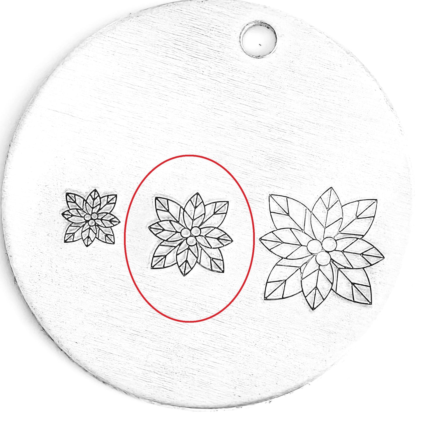Poinsettia #01