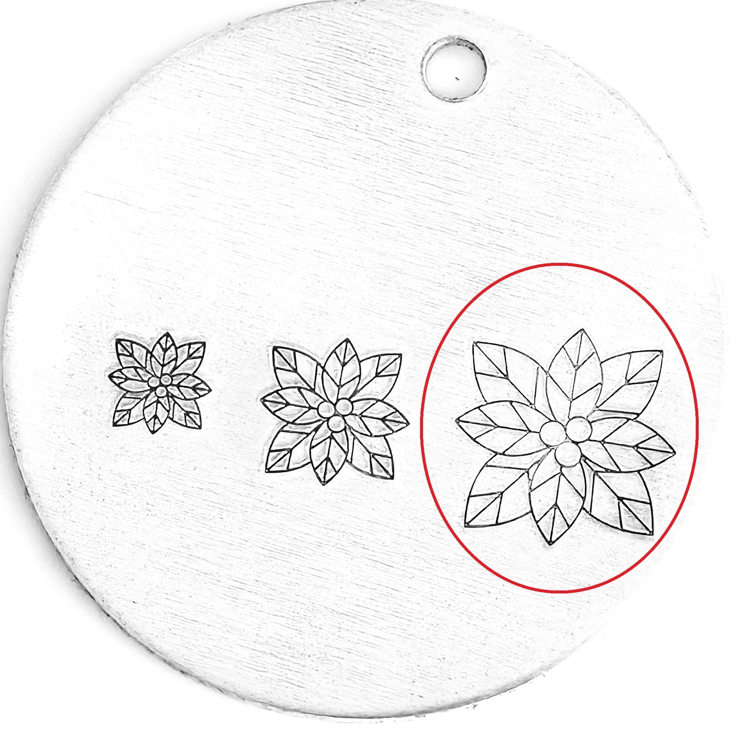 Poinsettia #01