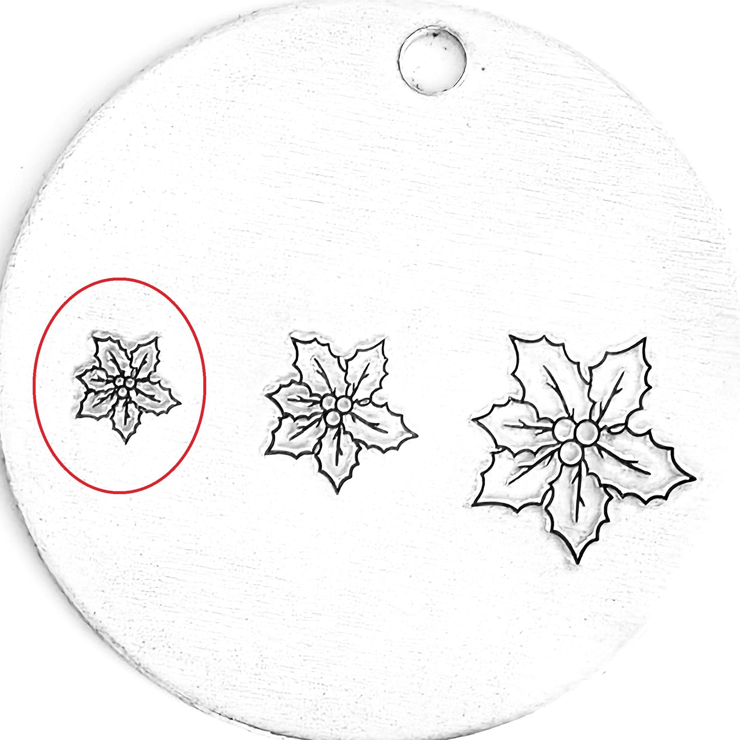 Poinsettia #03