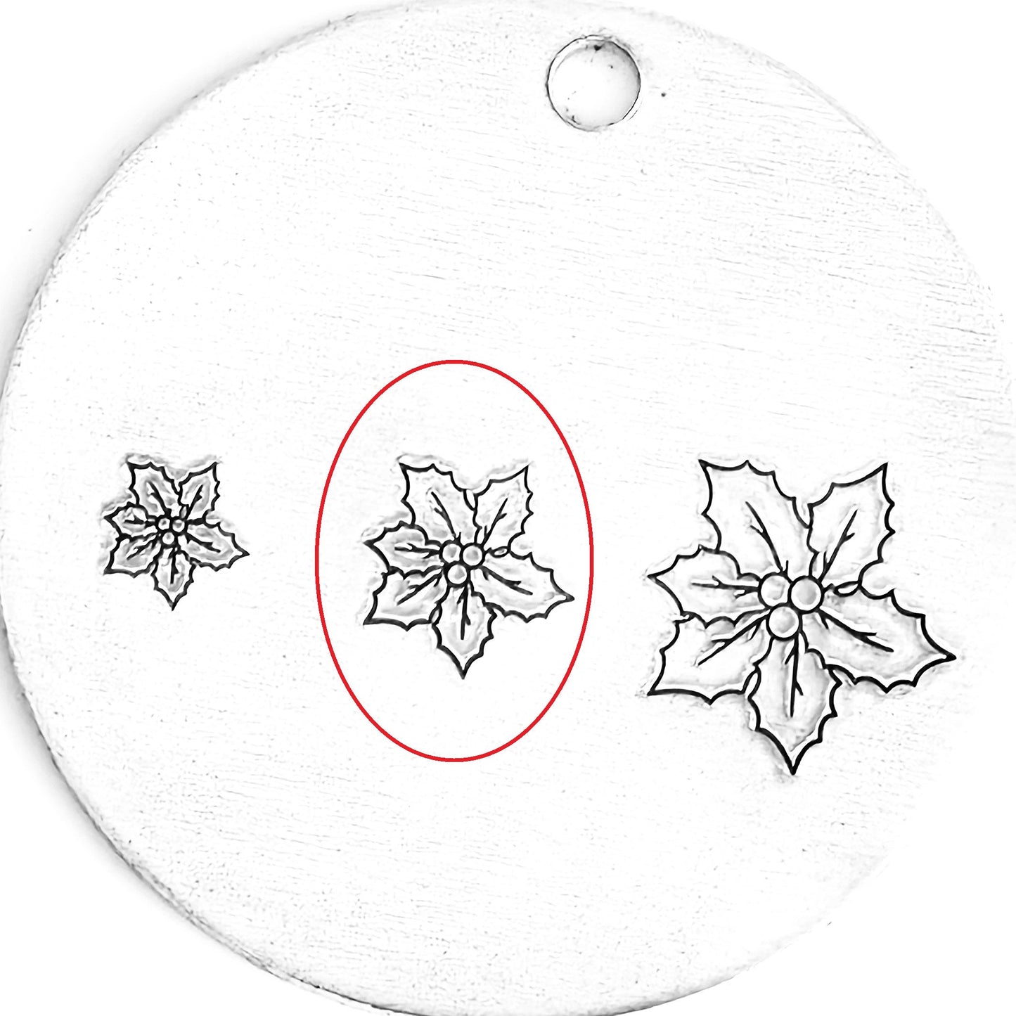 Poinsettia #03