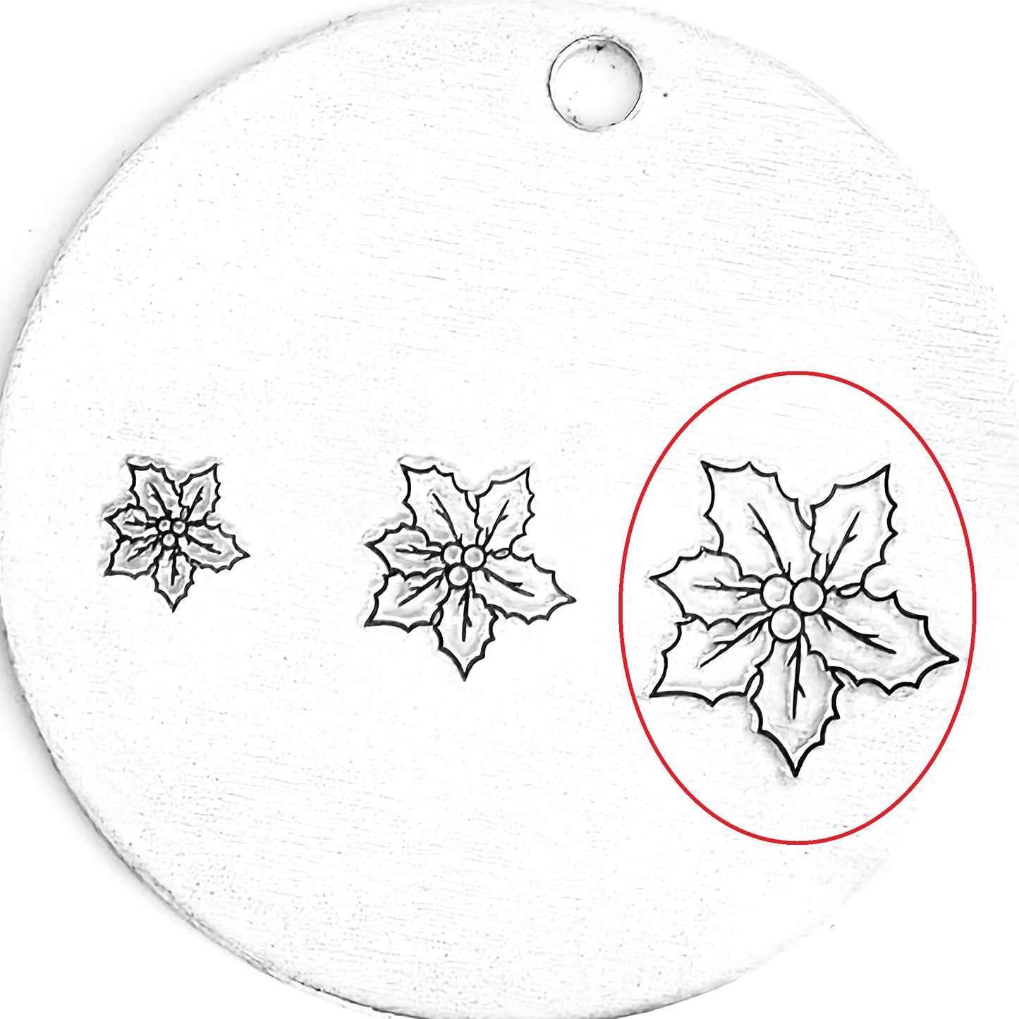 Poinsettia #03