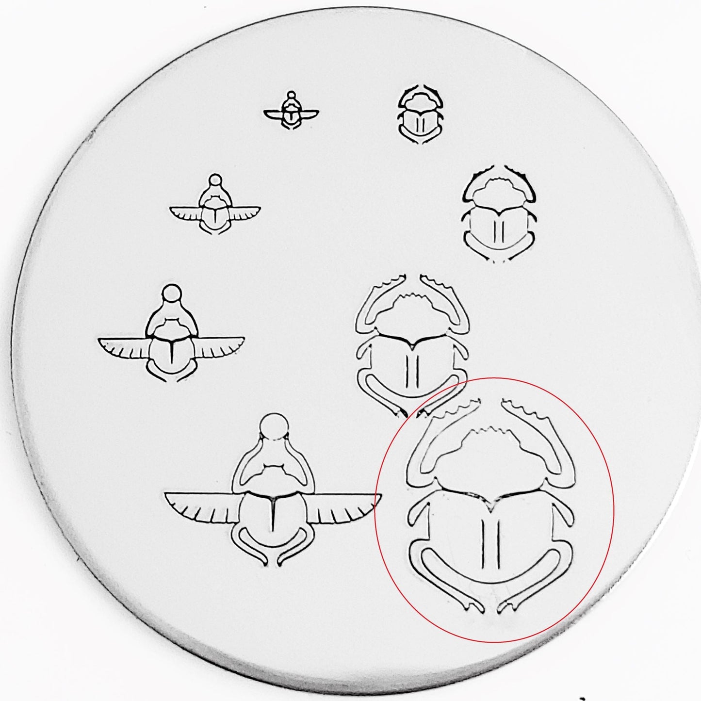 Scarab