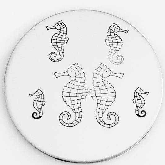 Seahorse