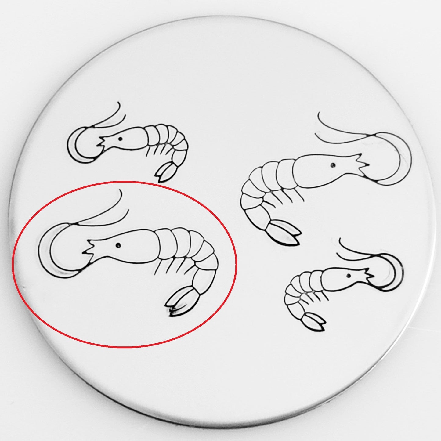 Shrimp #01