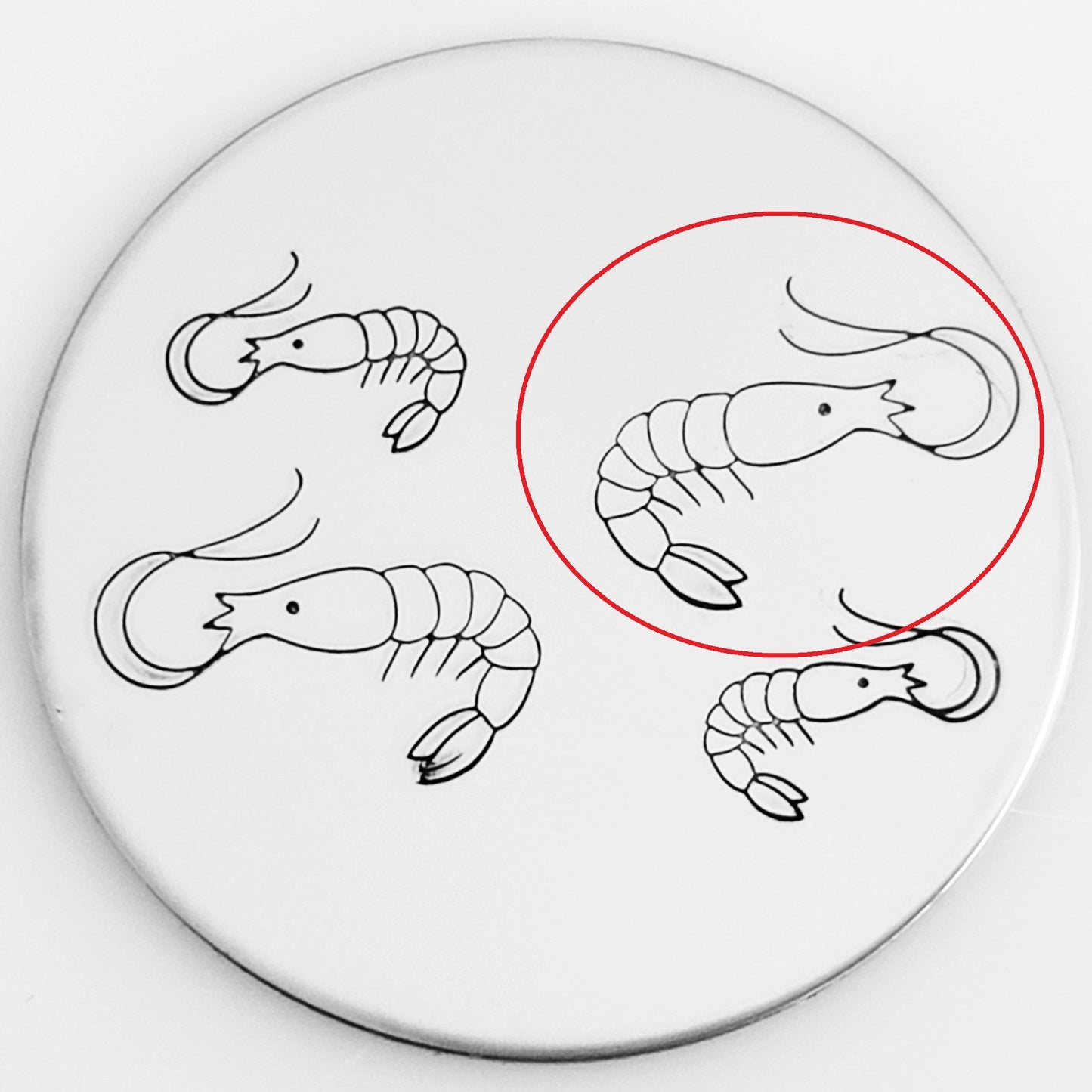 Shrimp #01