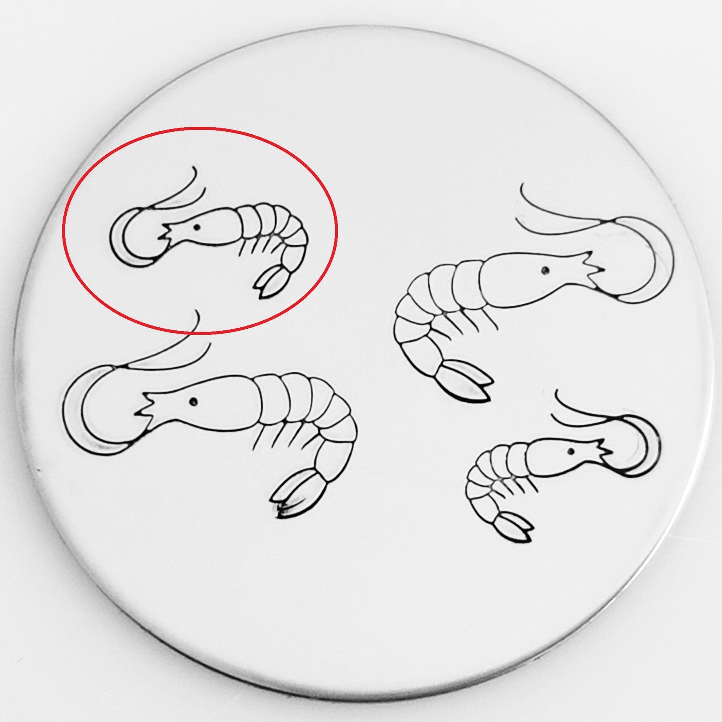 Shrimp #01