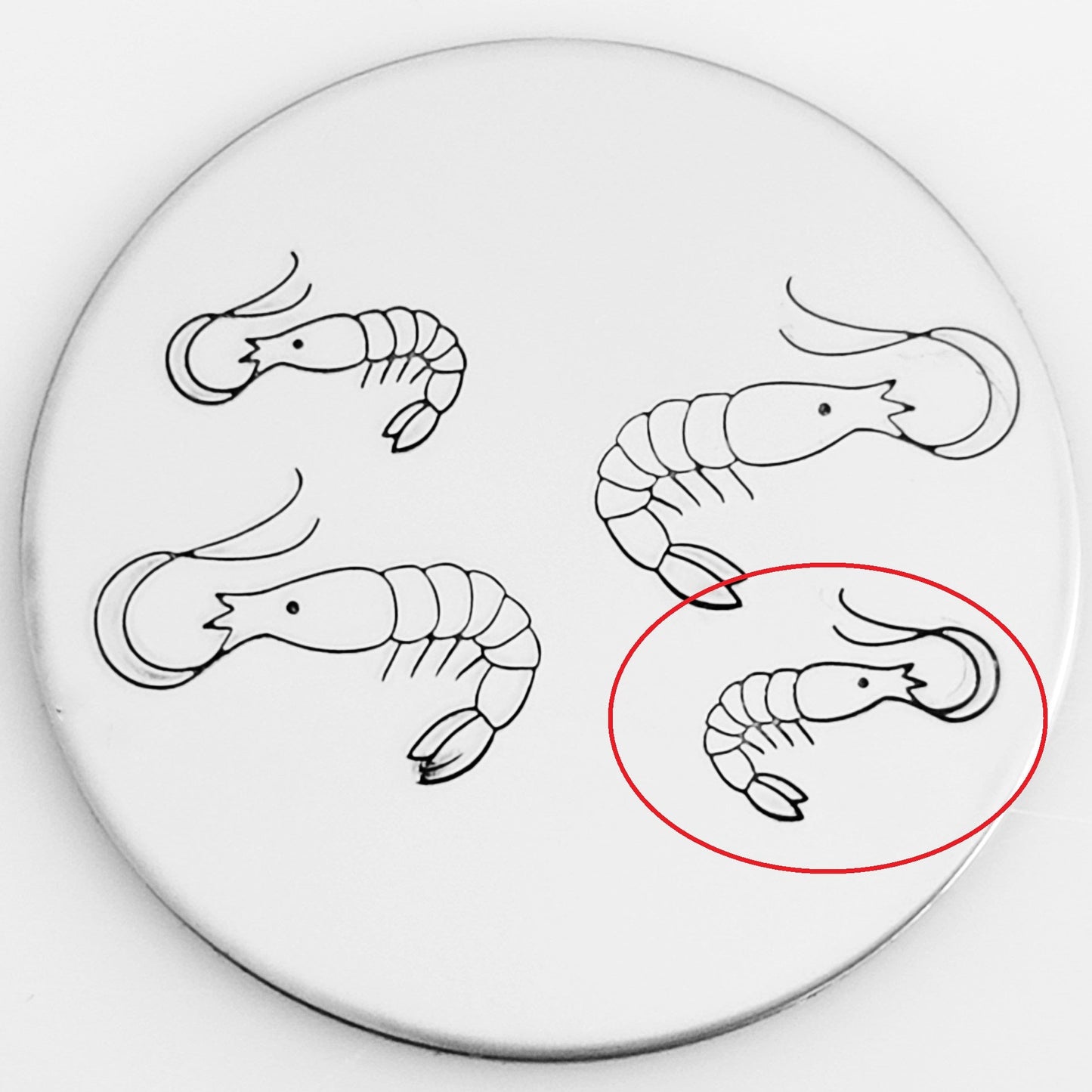 Shrimp #01